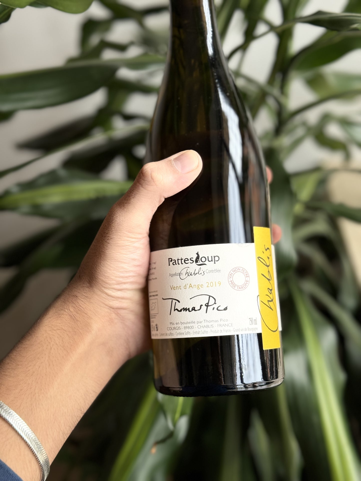 Chablis - Domaine Pattes Loup 2019
