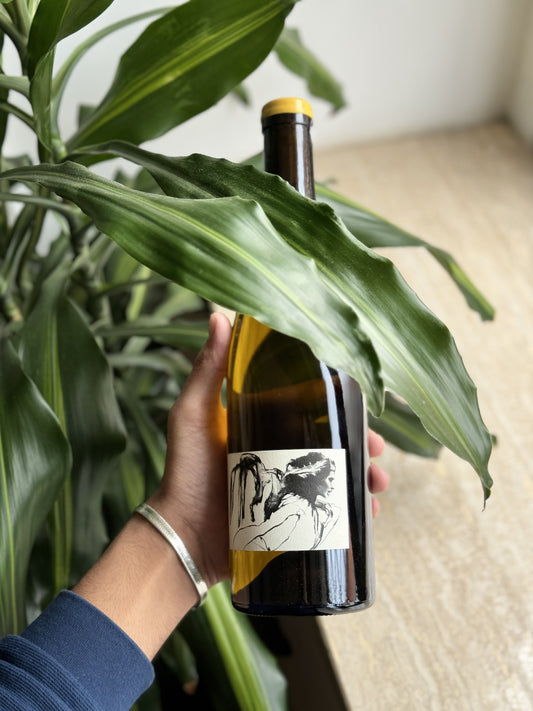 Chablis - Domaine Pattes Loup 2019